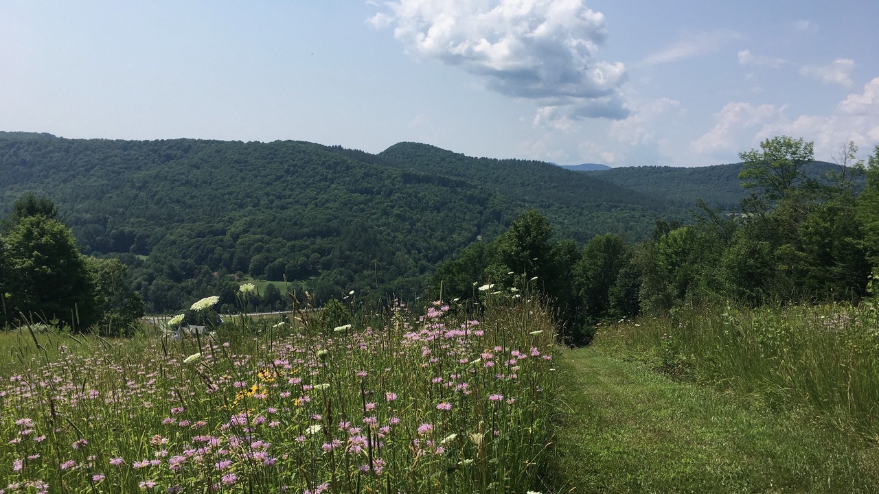 Photo of Others in Woodstock