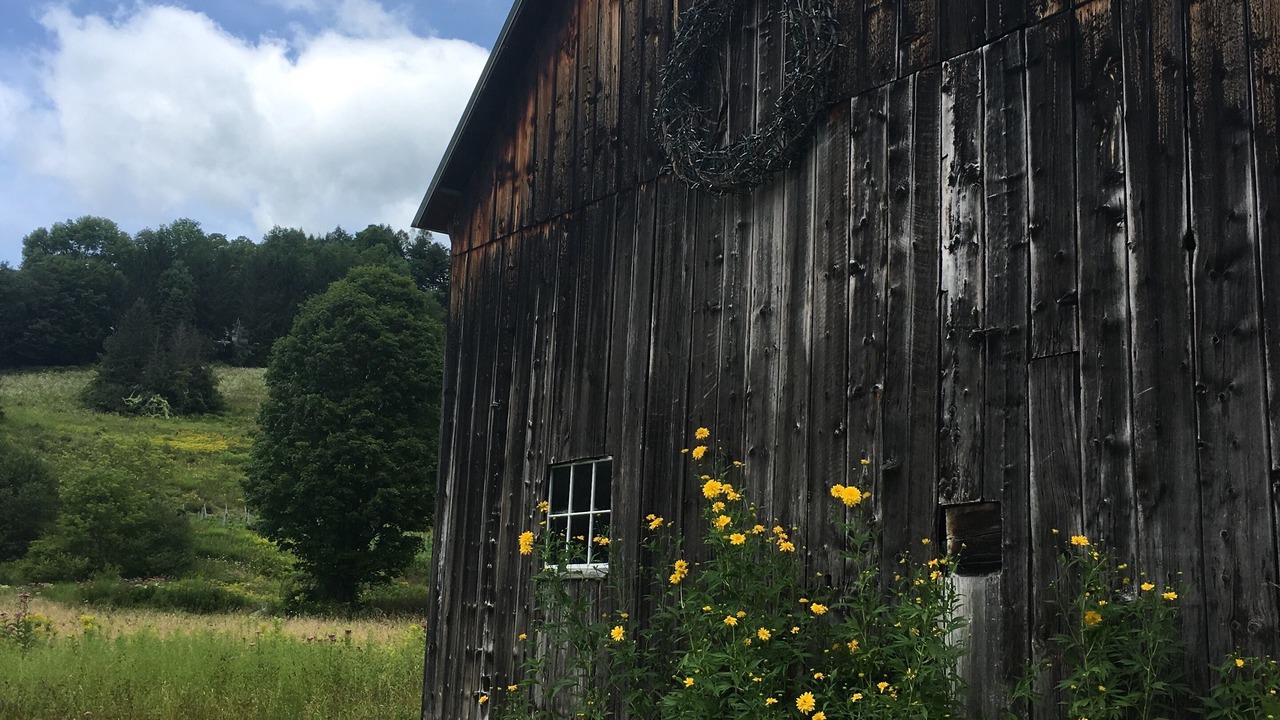 Photo of Others in Woodstock