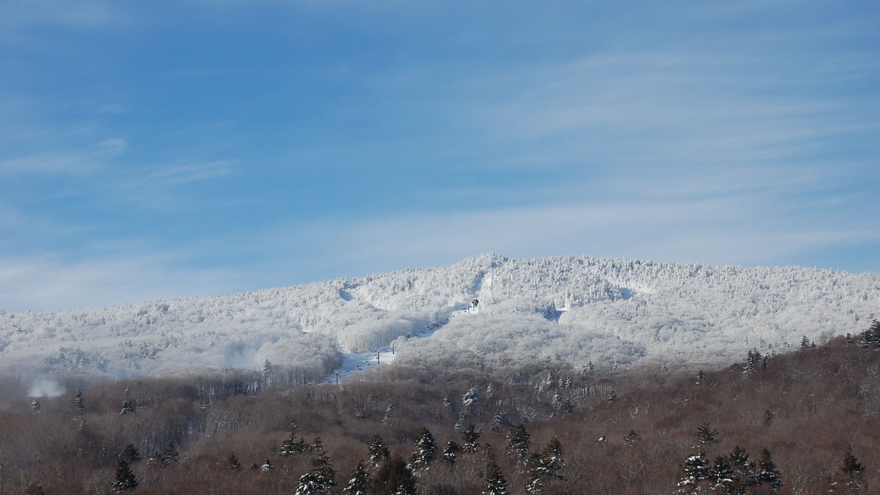 Photo of Others in Stockbridge
