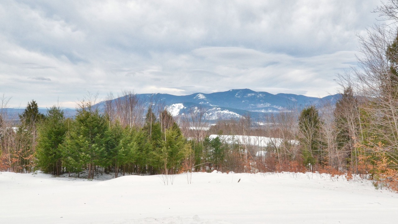 Photo of Others in Intervale