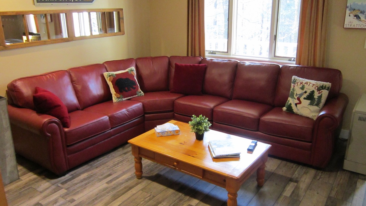 Photo of Livingroom in Stratton Mountain