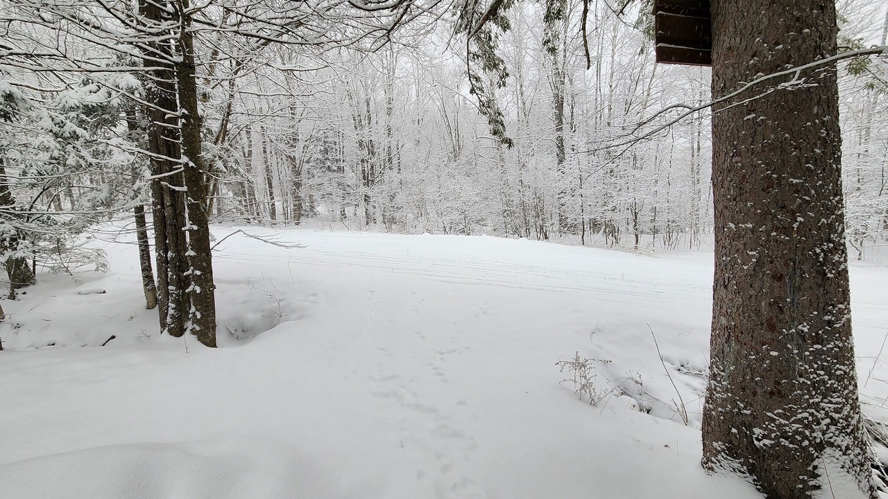 Photo of Others in Central Vermont- Killington