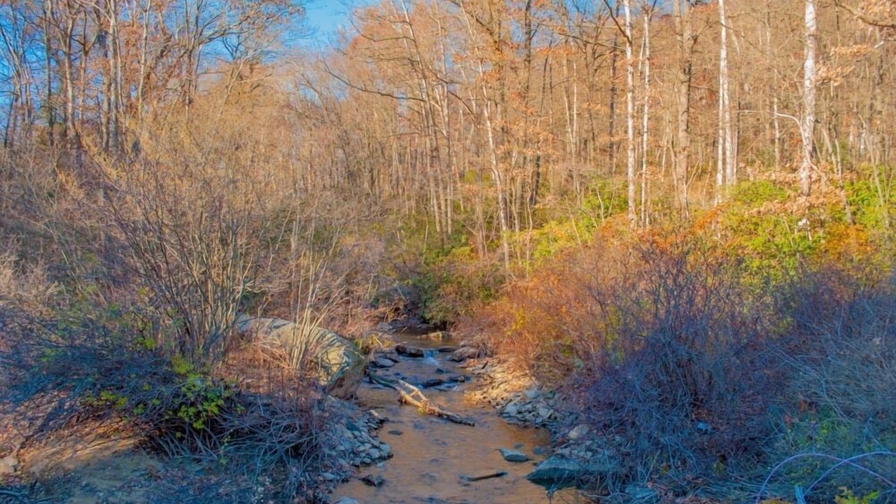 Photo of Others in Farmington
