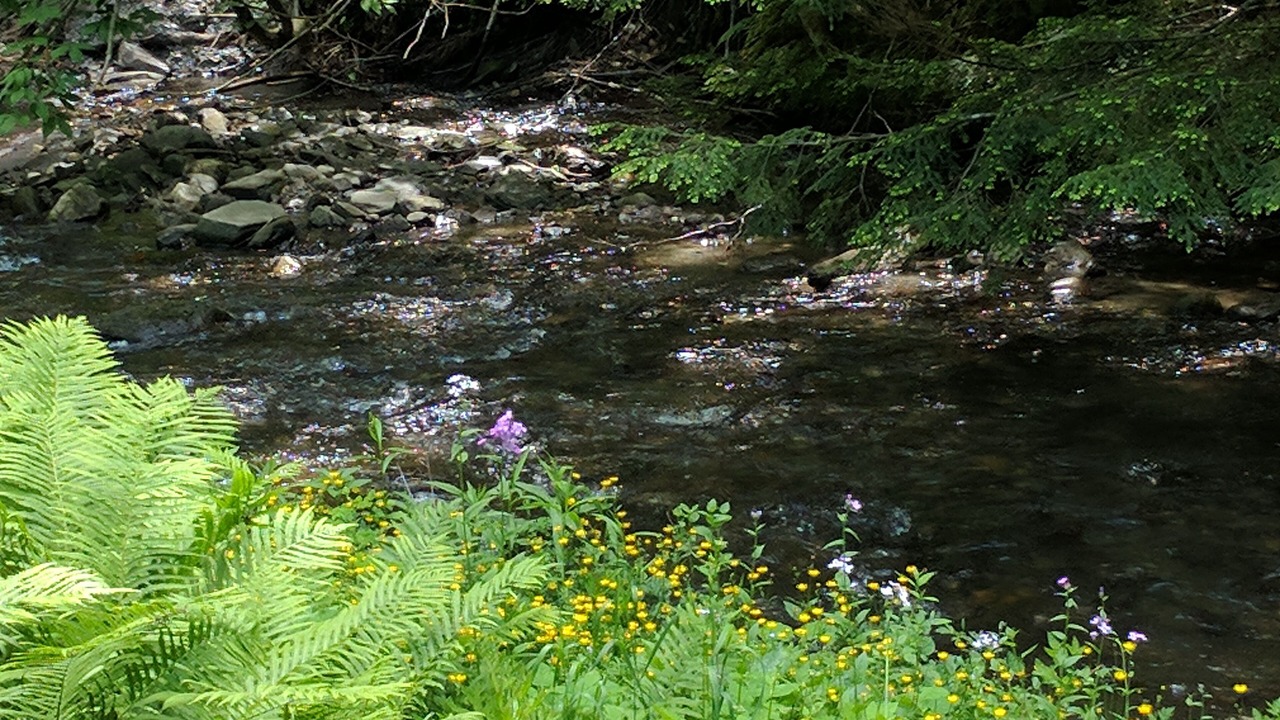 Photo of Outdoor in North Pomfret