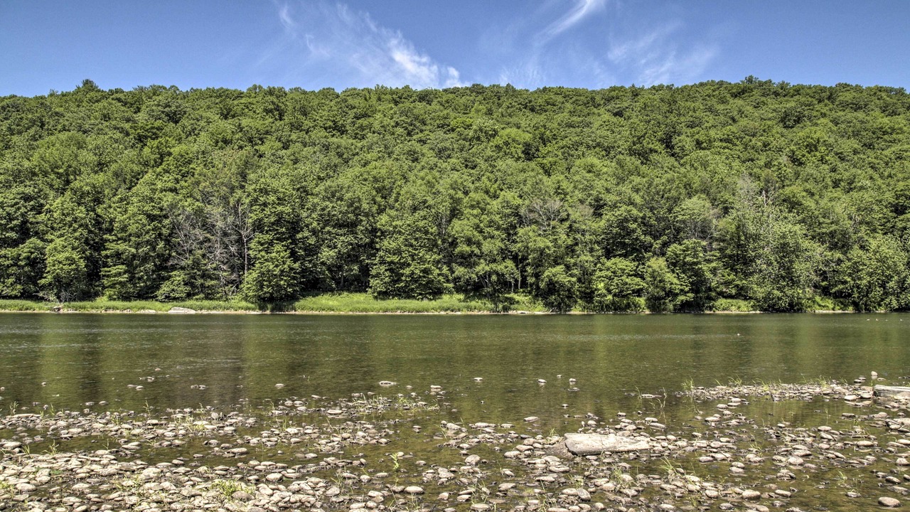 Photo of Others in Callicoon