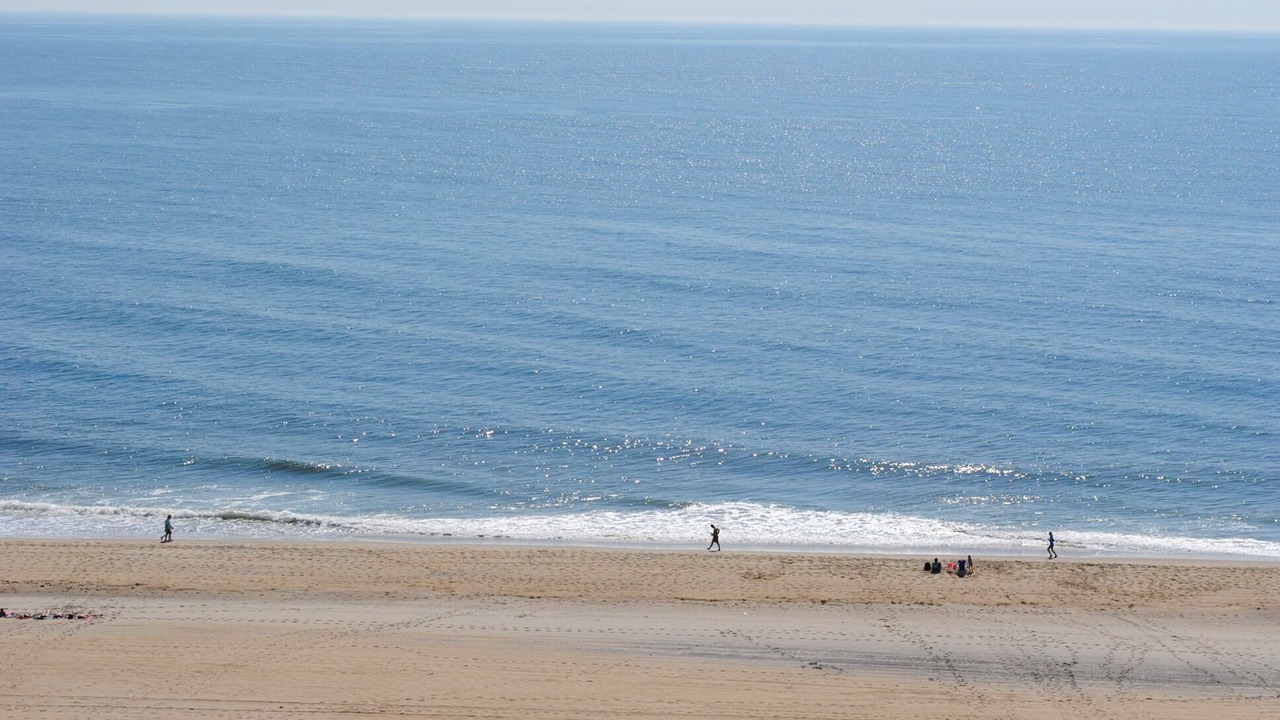 Photo of Others in North Ocean City