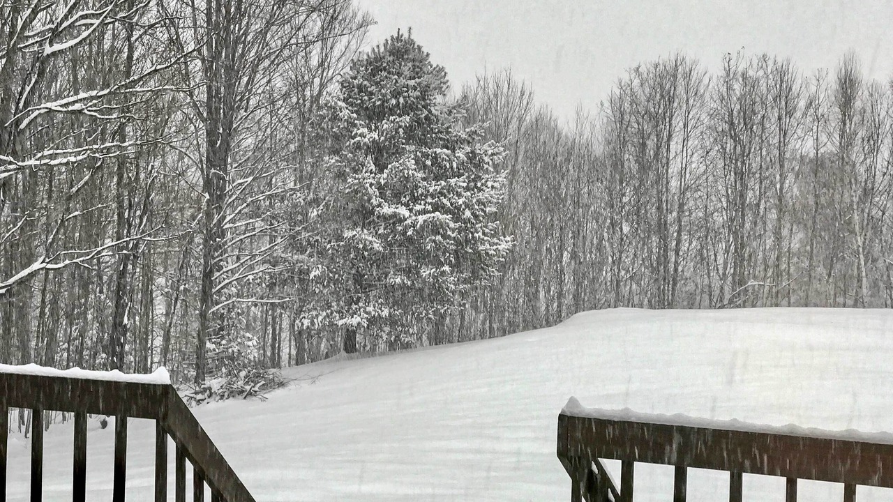 Photo of Outdoor in Windham