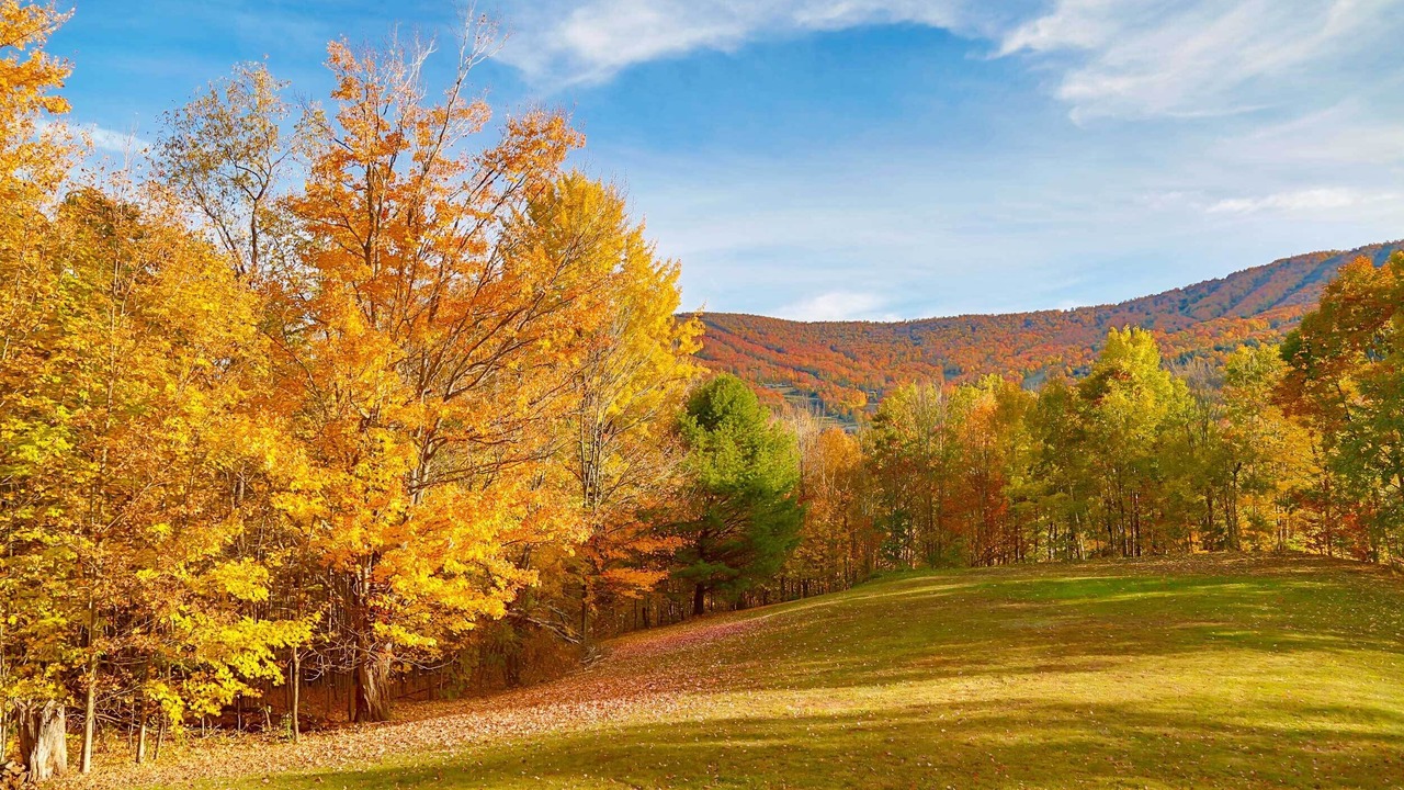 Photo of Others in Windham