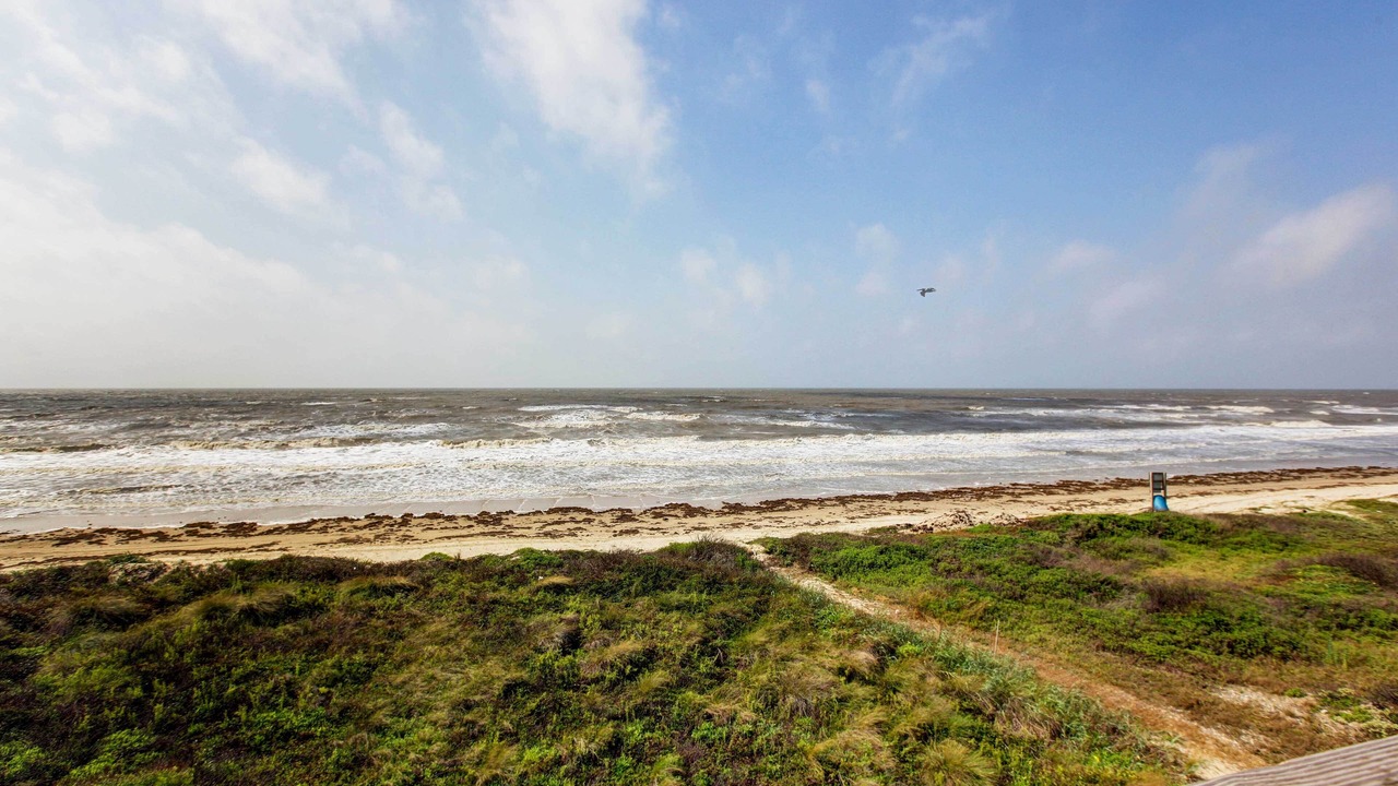 Photo of Others in Port Bolivar