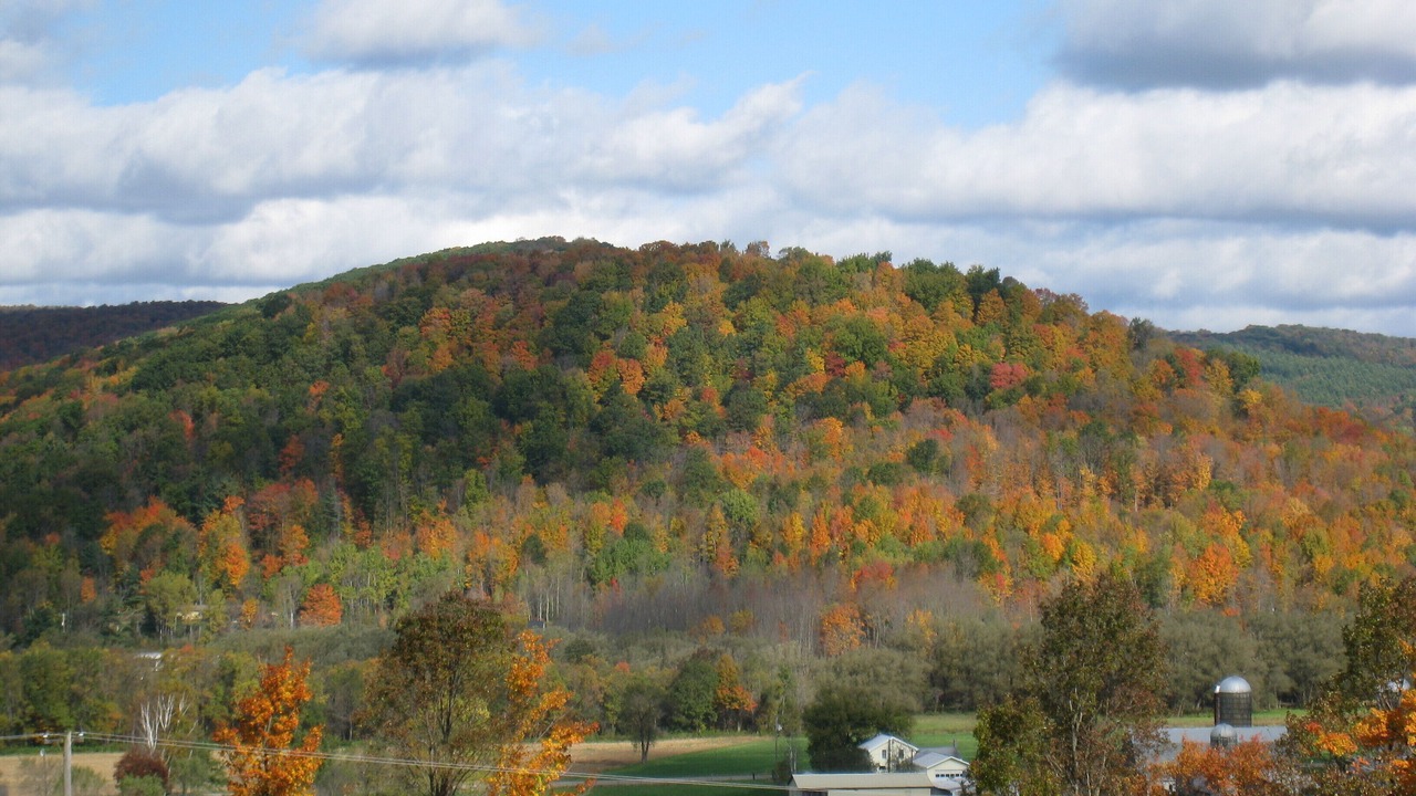 Photo of Others in Great Valley