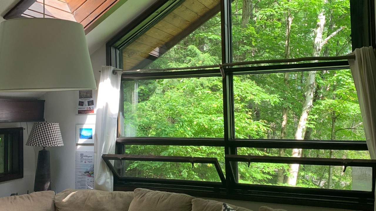 Photo of Livingroom in Pittsfield