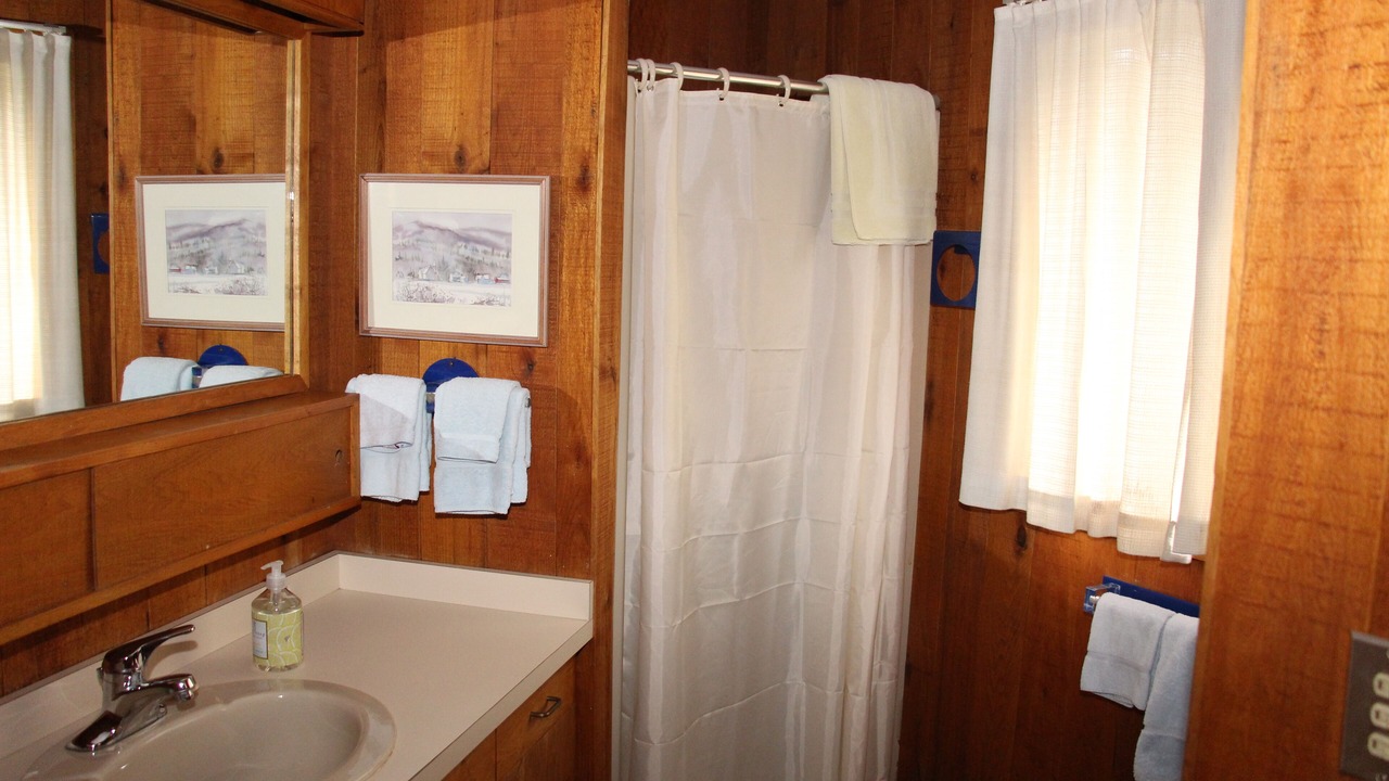 Photo of Bathroom in Manchester Center
