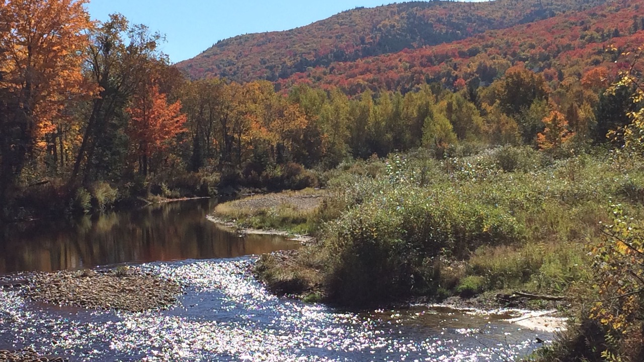 Photo of Outdoor in Bretton Woods