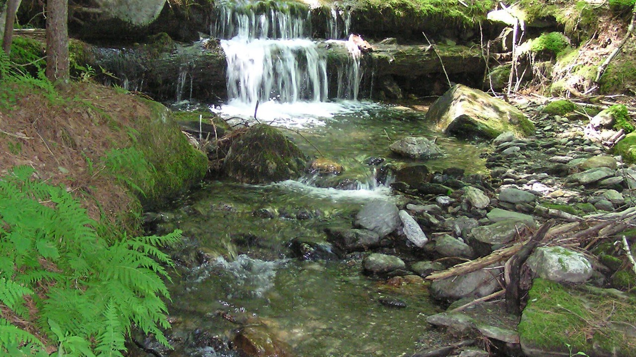 Photo of Others in Hancock