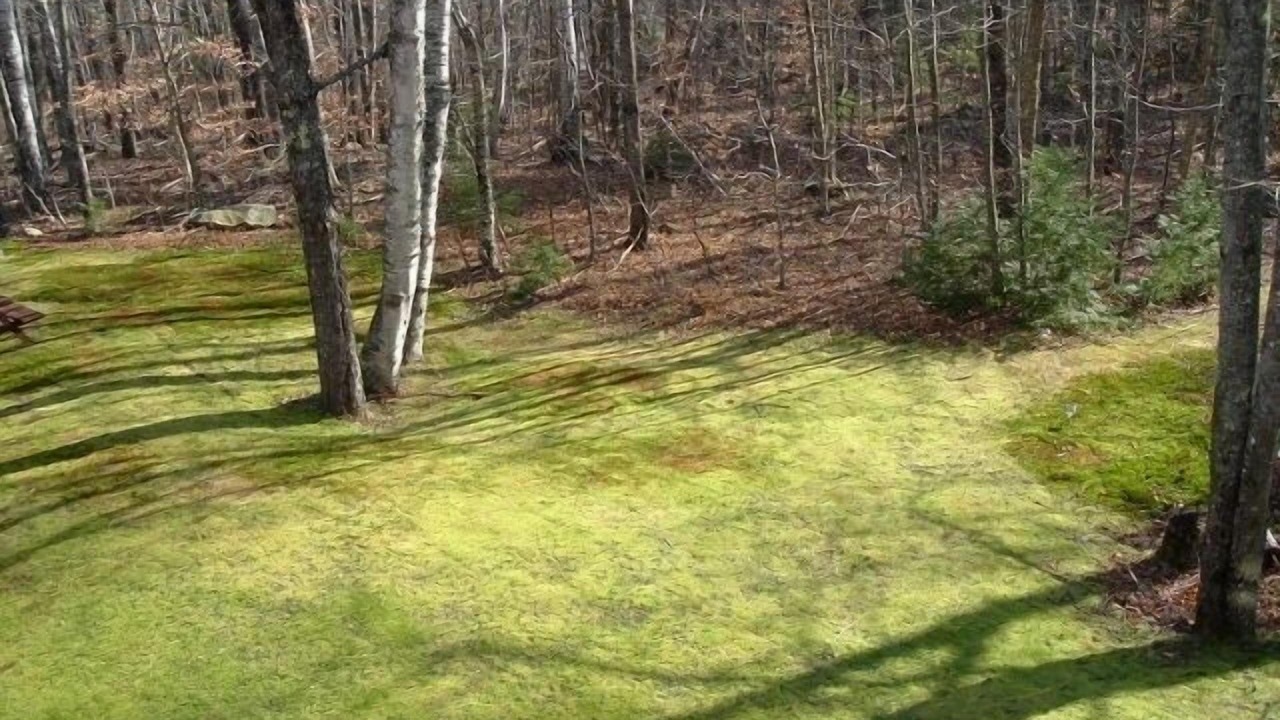Photo of Others in Stoneham
