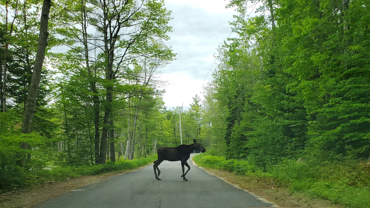 Photo of Others in Stoneham