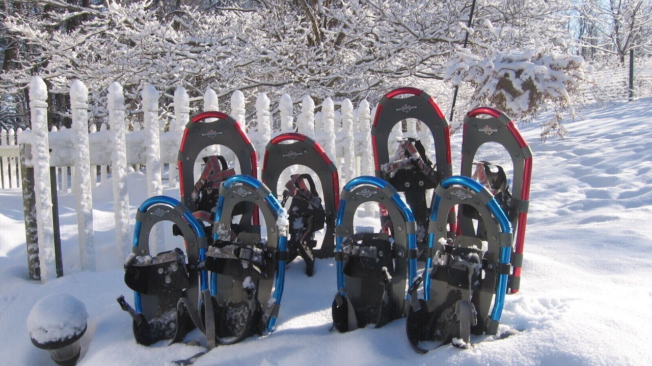Photo of Others in Stoneham