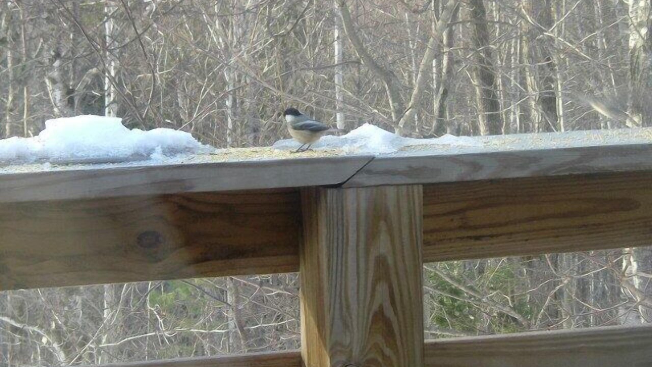 Photo of Others in Stoneham