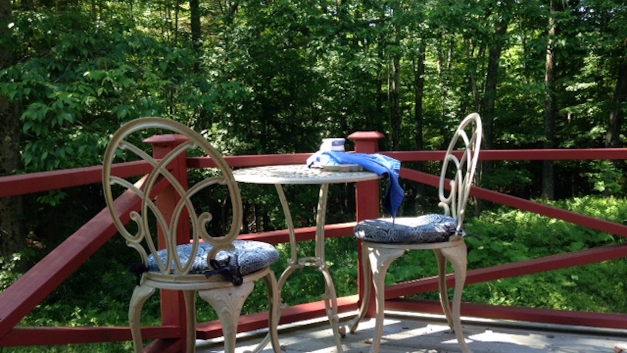 Photo of Others in Stowe Hollow