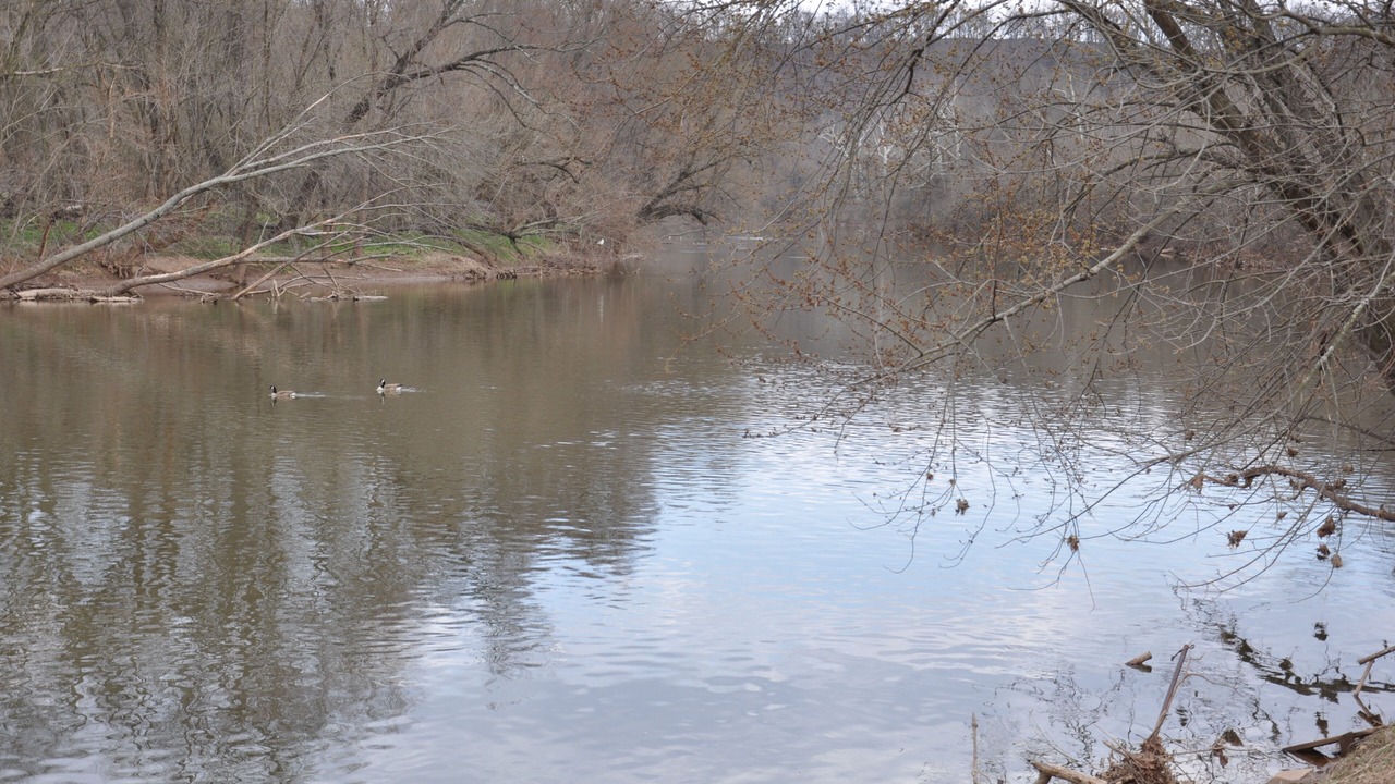 Photo of Others in Frederick