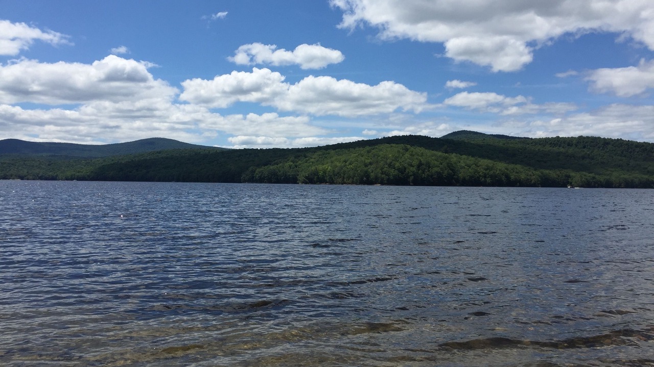 Photo of Others in Wardsboro