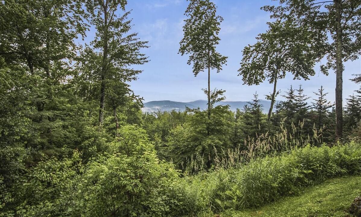 Photo of Others in Stowe Area