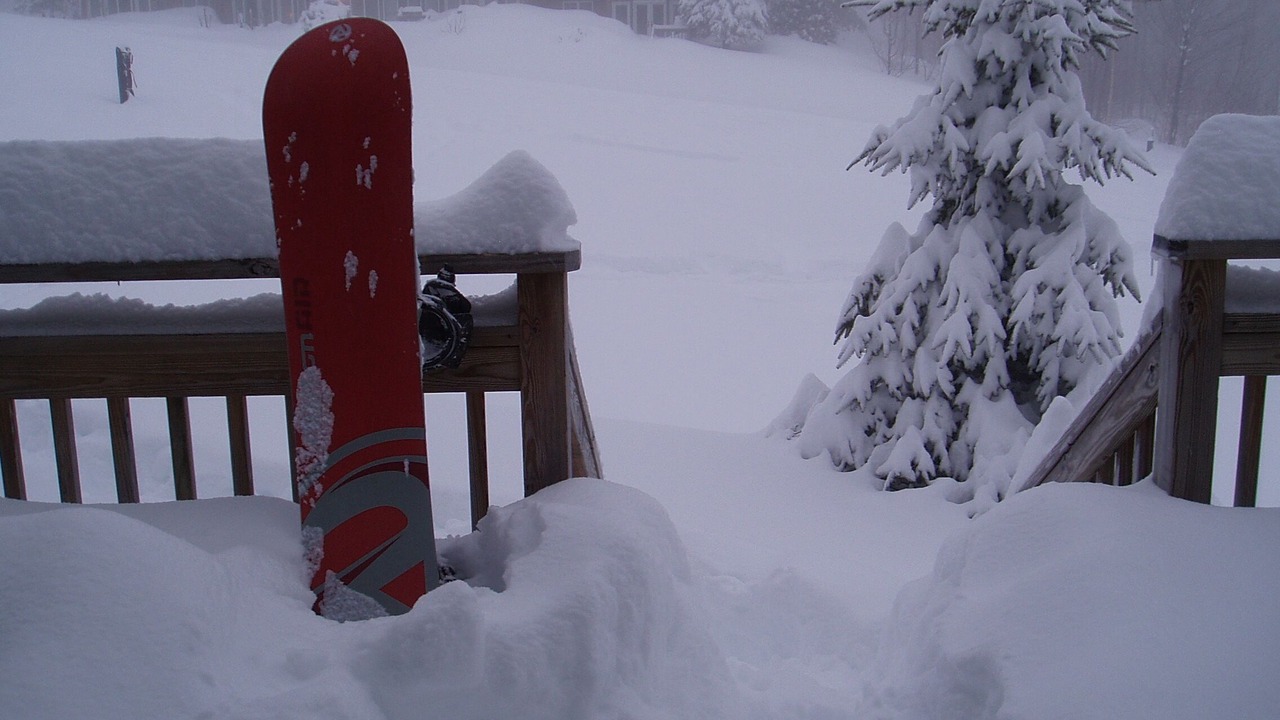 Photo of Others in North Troy