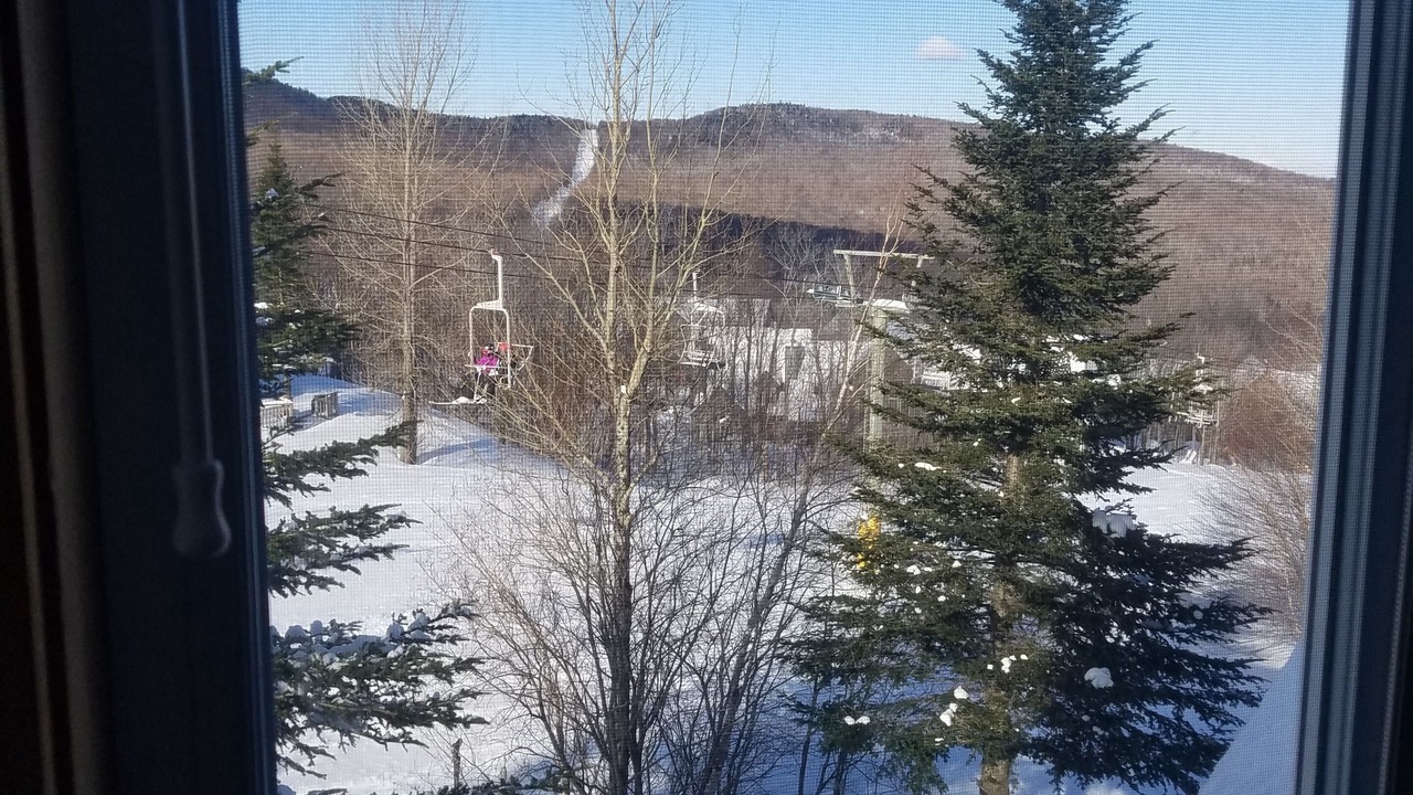 Photo of Others in North Troy