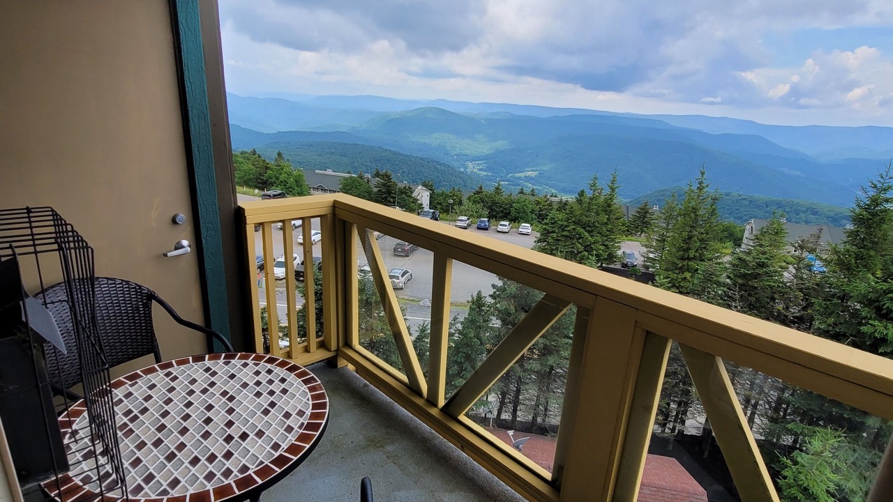 Photo of Others in Snowshoe