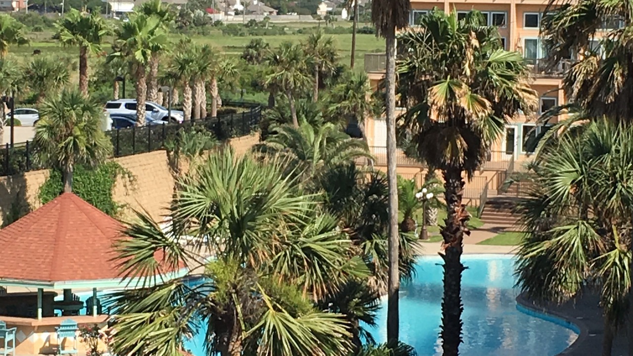 Photo of Outdoor in Galveston