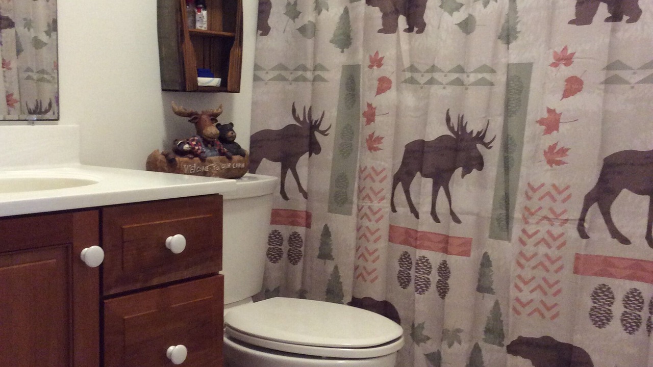 Photo of Bathroom in Alburg