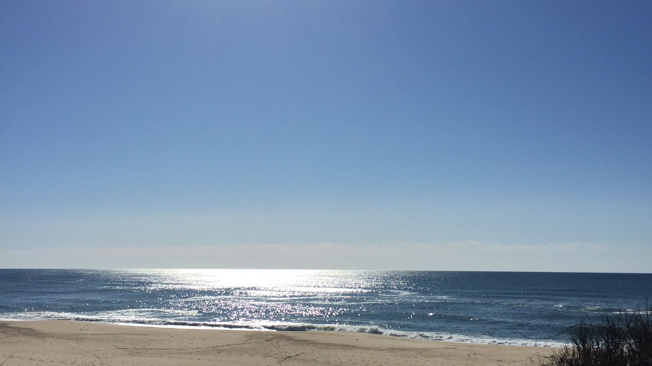 Photo of Others in Montauk