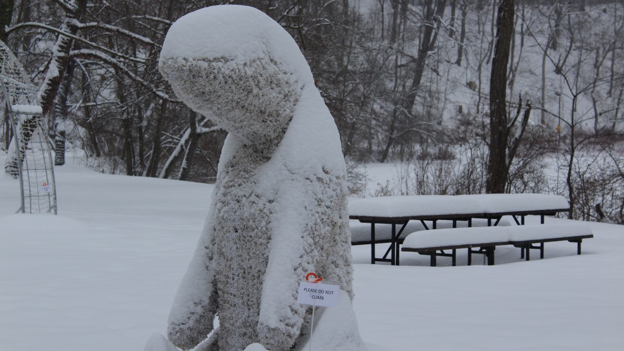 Photo of Others in Youngstown