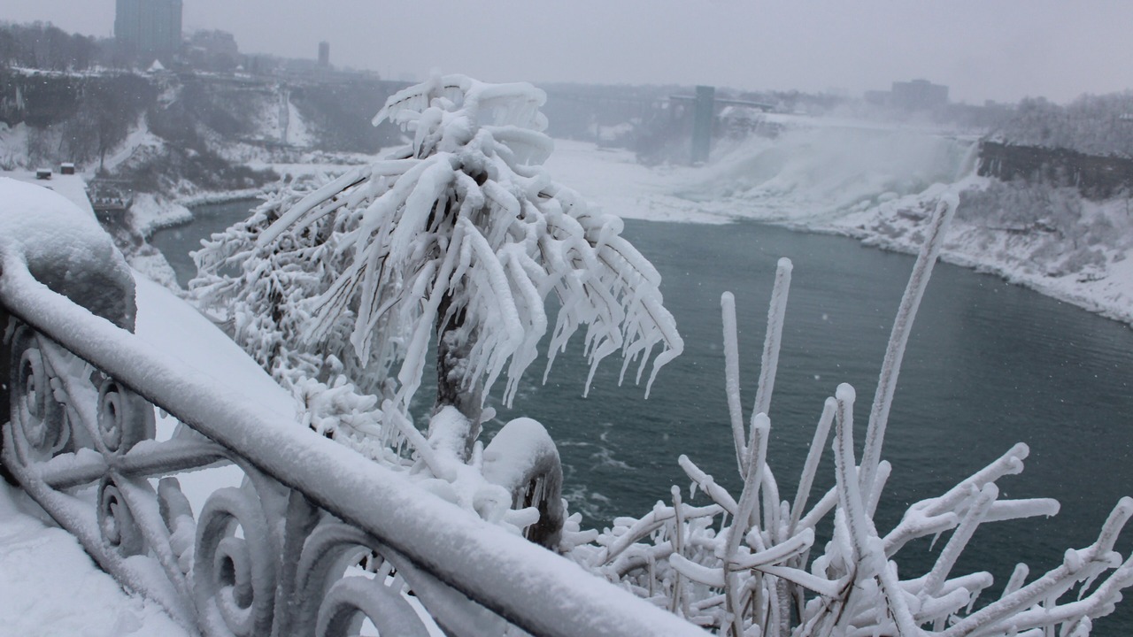 Photo of Others in Youngstown