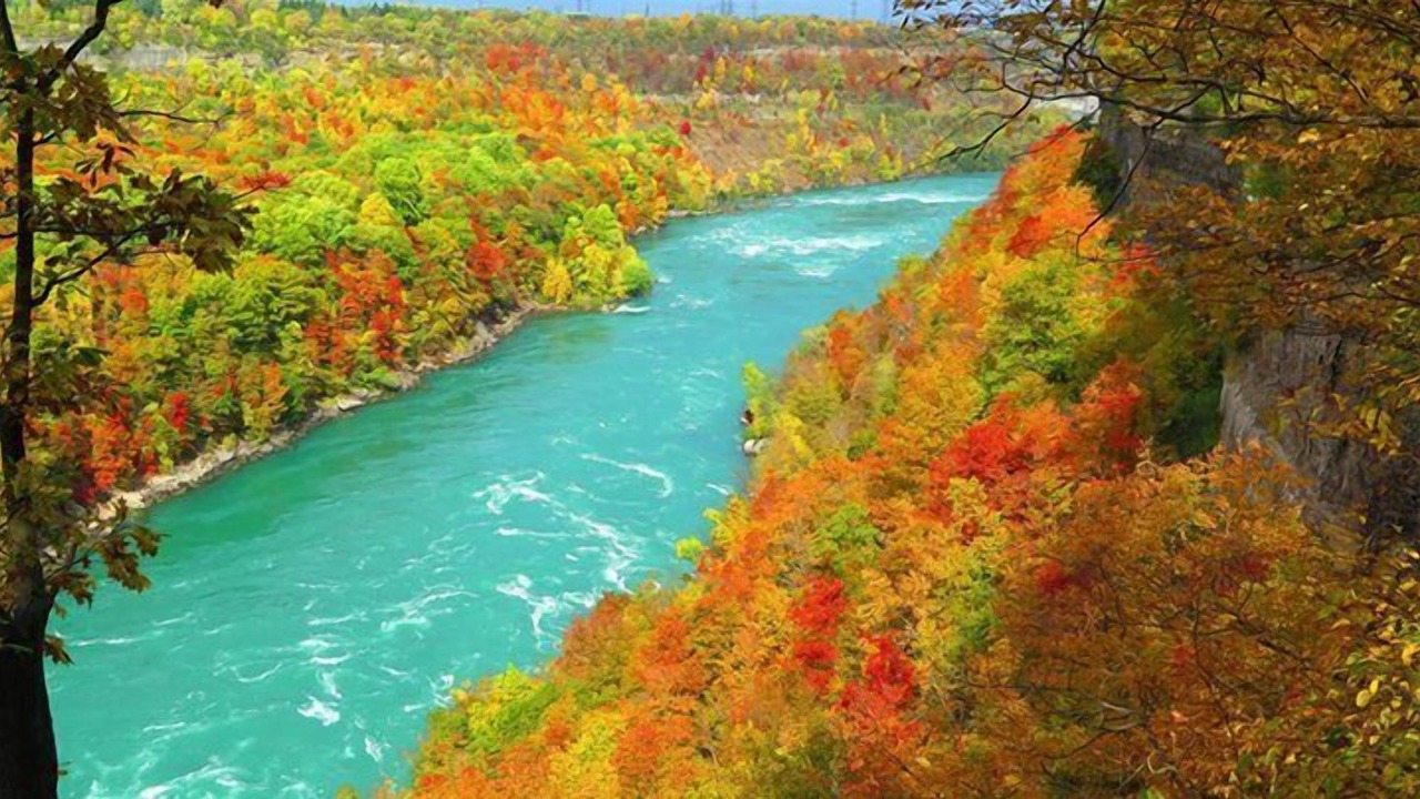 Photo of Others in Youngstown