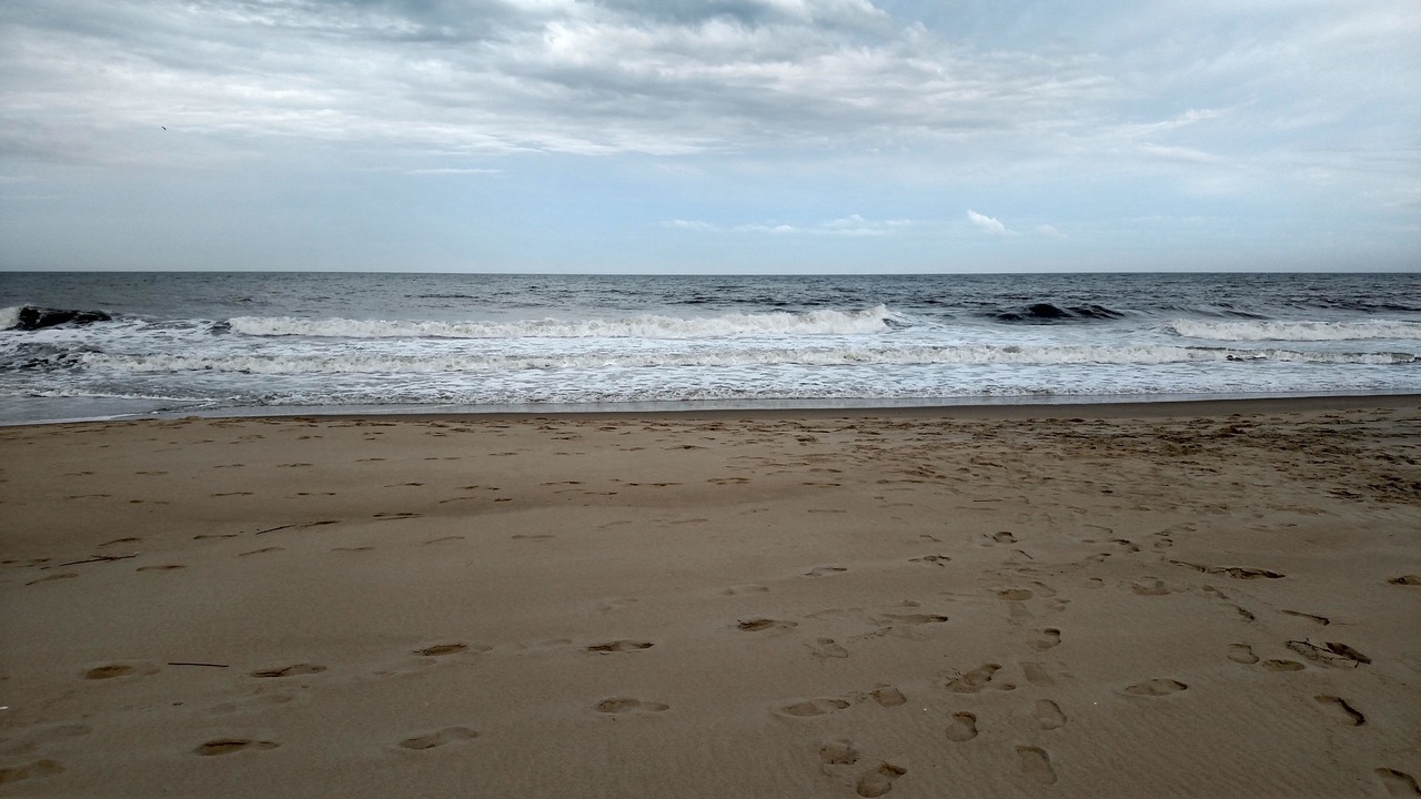 Photo of Others in North Ocean City