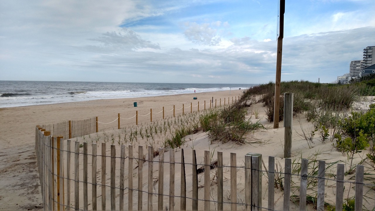 Photo of Others in North Ocean City
