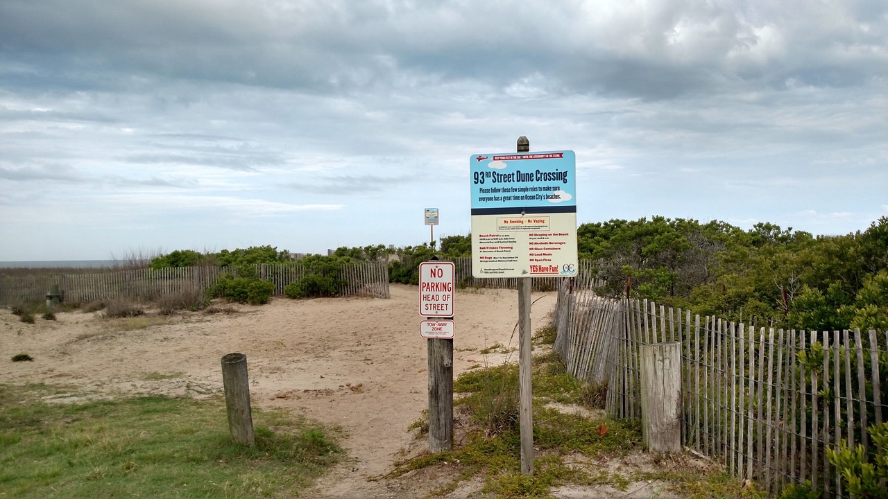 Photo of Others in North Ocean City