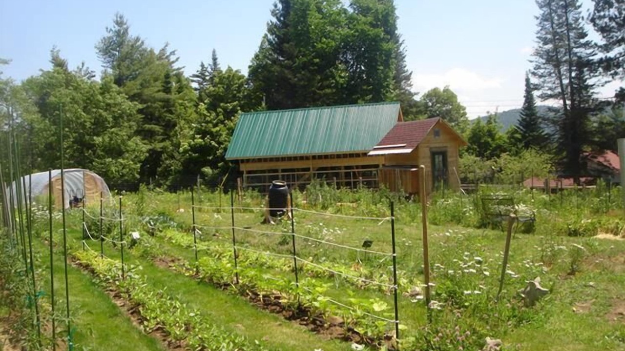 Photo of Outdoor in North River