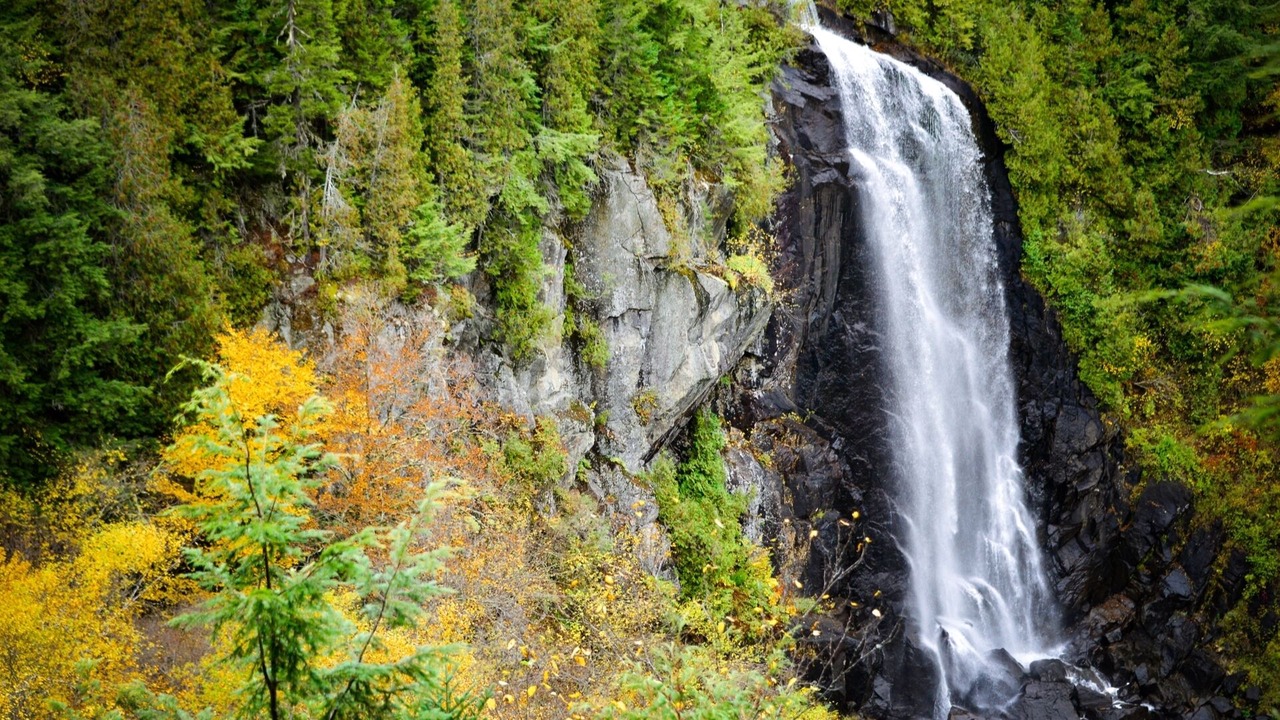 Photo of Outdoor in North River