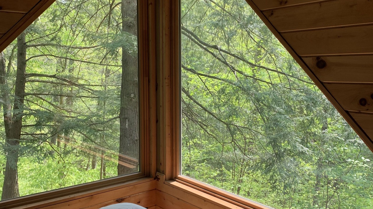 Photo of Bedroom in Swain