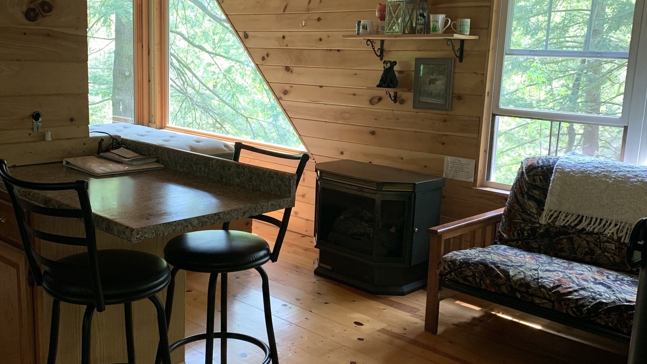 Photo of Livingroom in Swain
