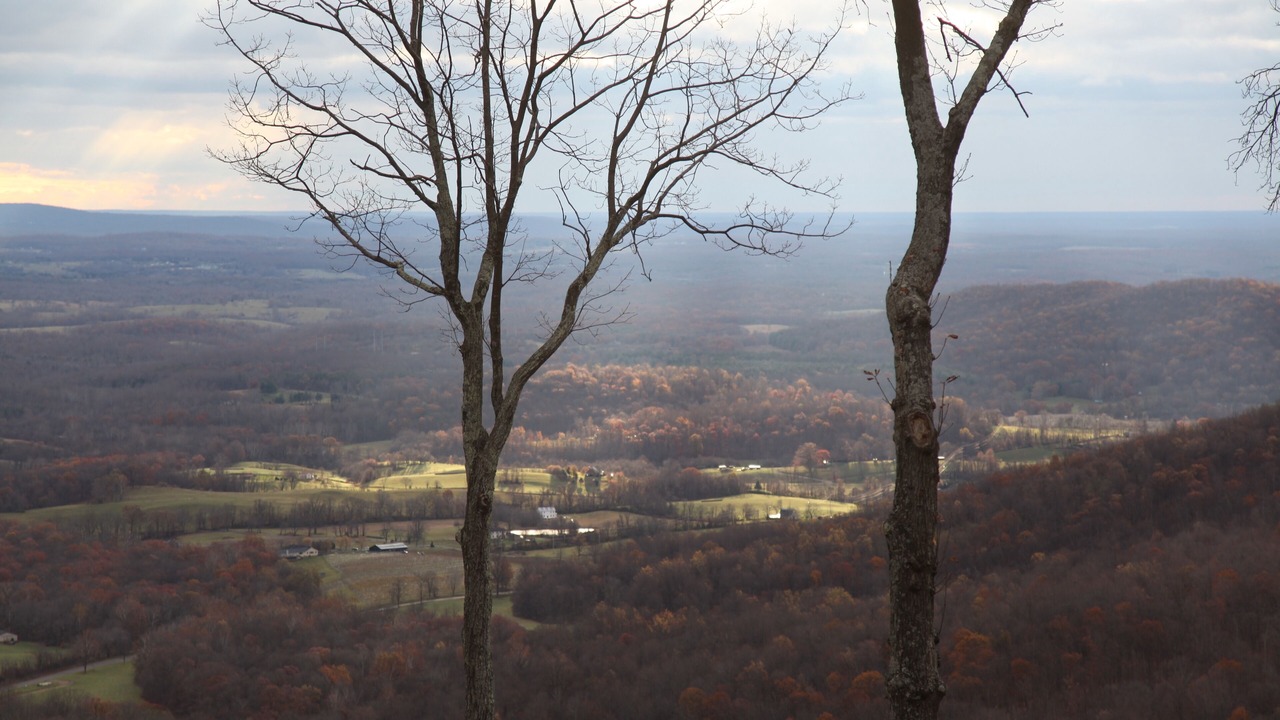Photo of Others in Chester Gap