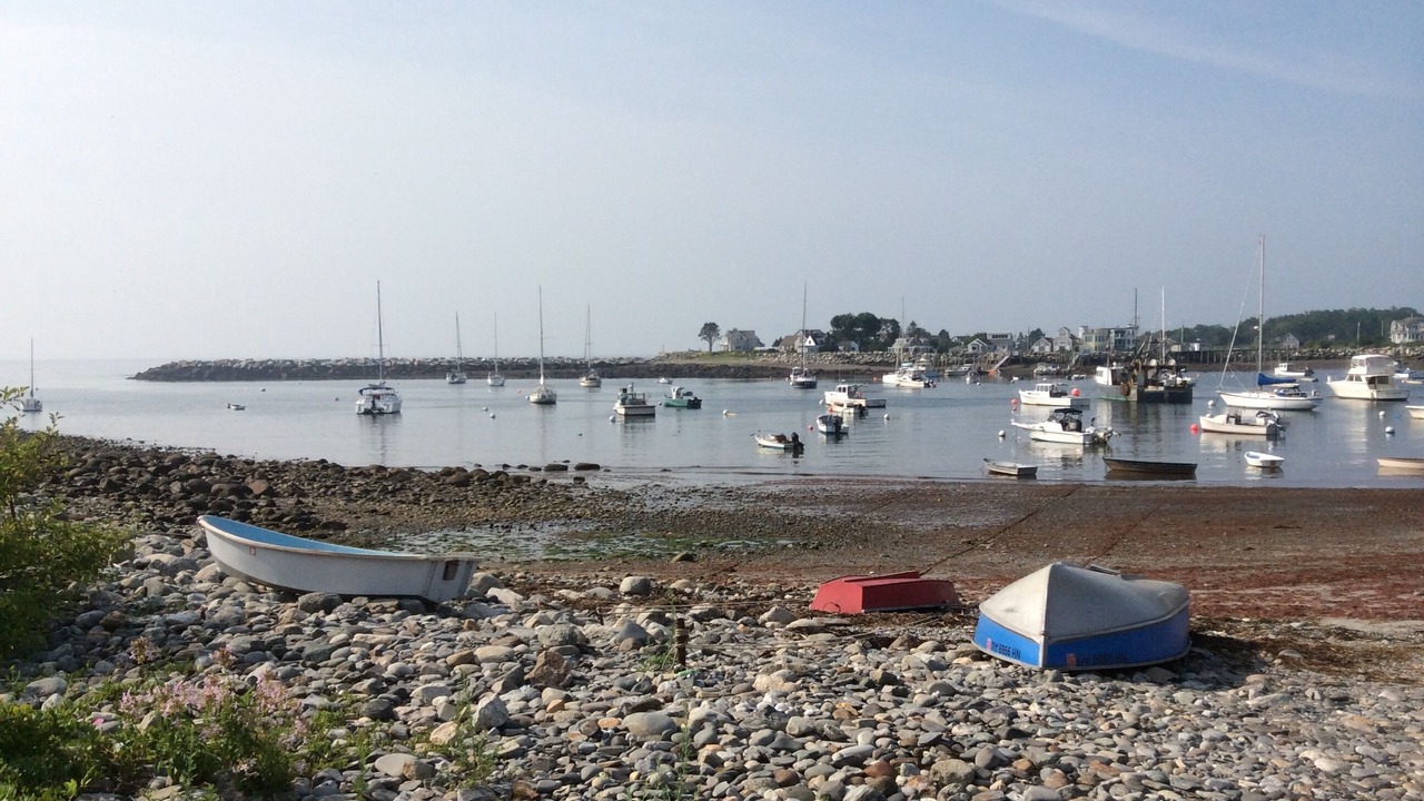 Photo of Others in Rye