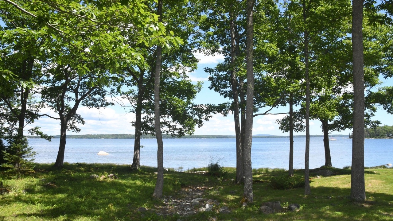 Photo of Others in Deer Isle