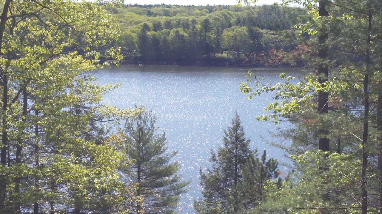 Photo of Others in Wiscasset