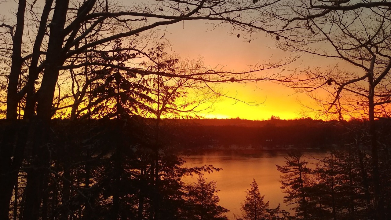 Photo of Others in Wiscasset