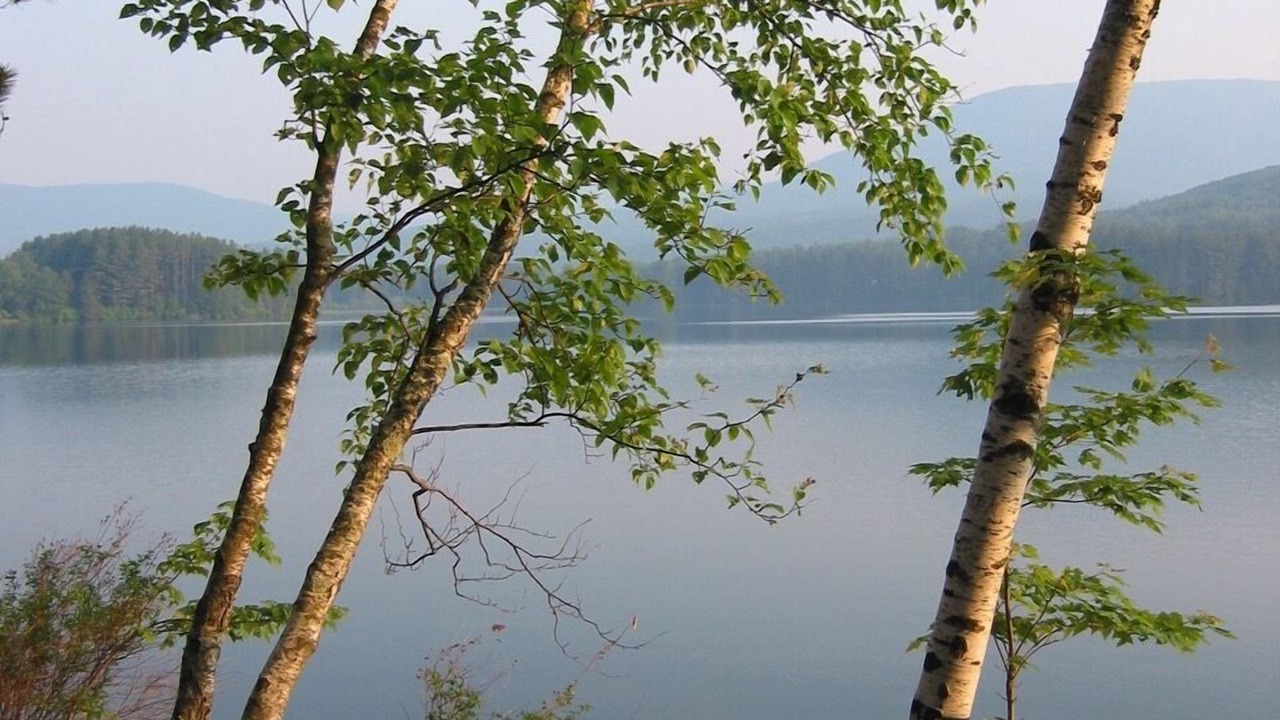 Photo of Outdoor in Woodstock