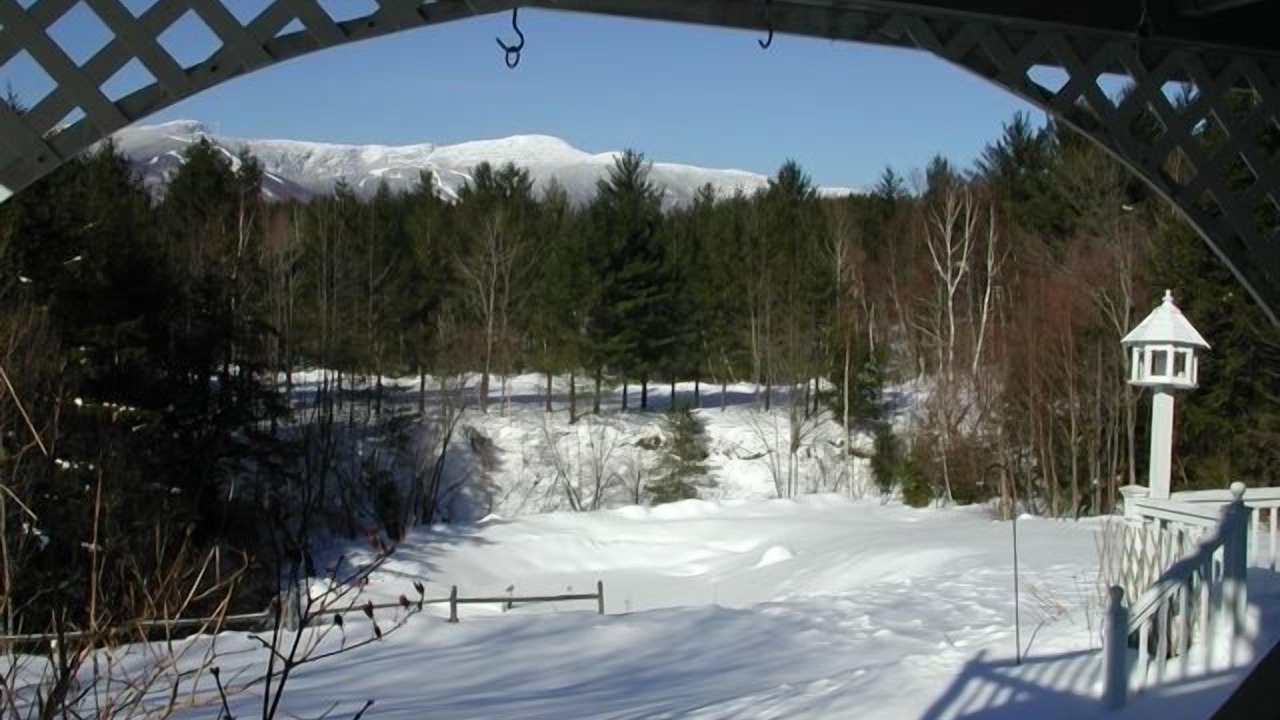 Photo of Others in Stowe Area