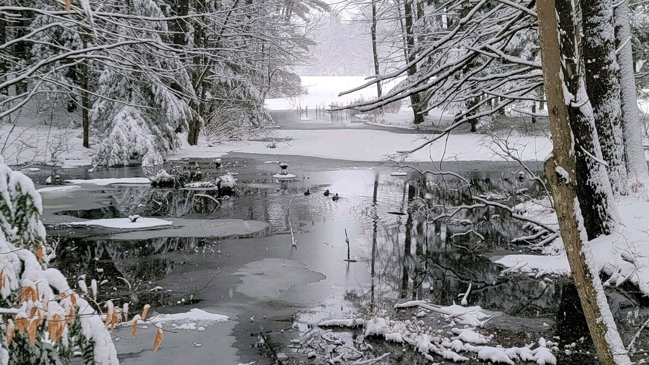 Photo of Others in Sanbornton